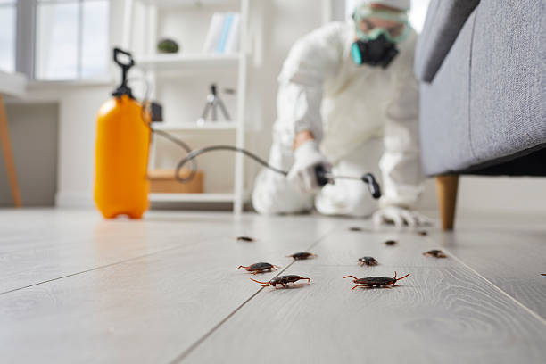 Trusted Termite Control service in Redstone Arsenal, AL - Nex Pest Control